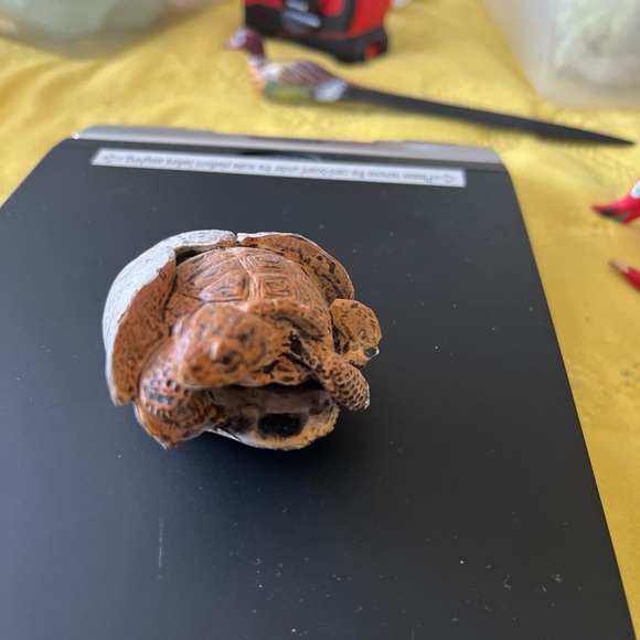 TORTOISE Rubber BABY Turtle Realistic - Picture 2 of 6